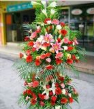 ᰸޿ҵ